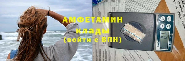 шишки Краснослободск