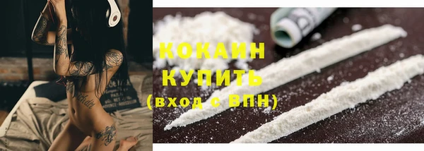стафф Новозыбков