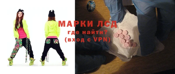 стафф Новозыбков