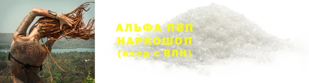ECSTASY Новодвинск