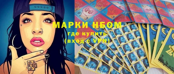 ECSTASY Новодвинск