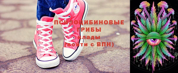 шишки Нефтегорск