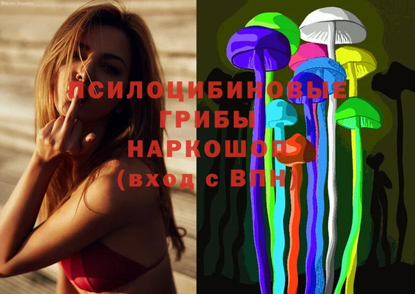стафф Новозыбков