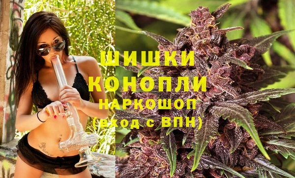 стафф Новозыбков